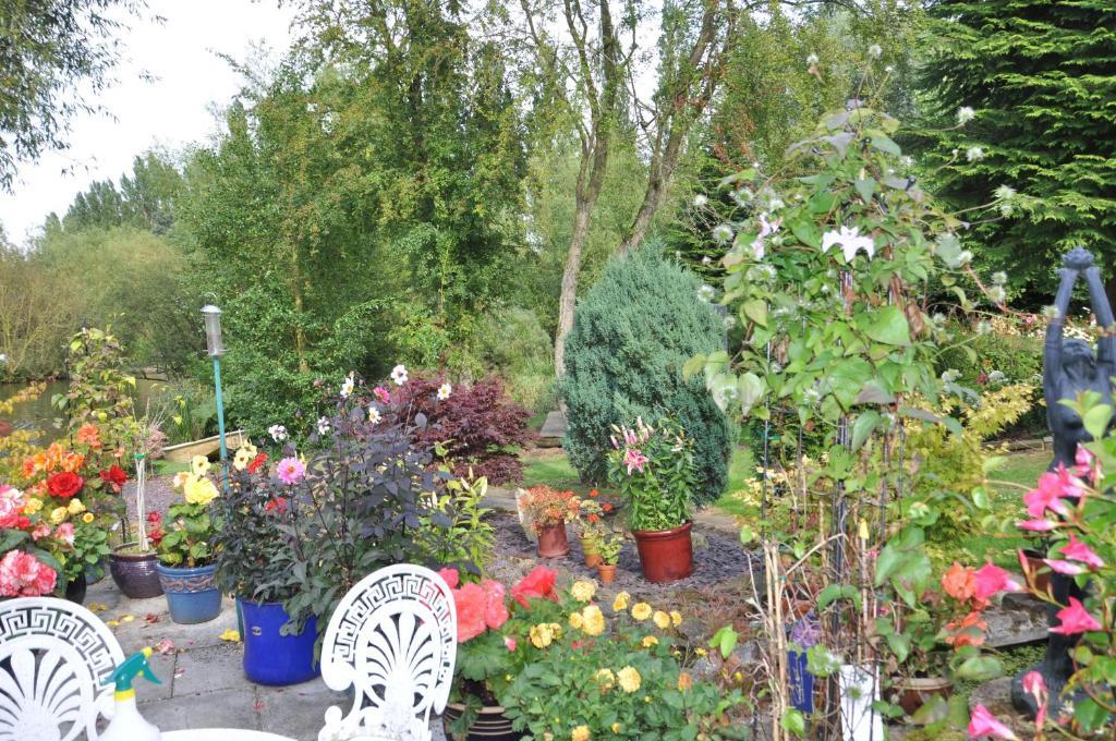 The Willows Bed & Breakfast York Exterior photo