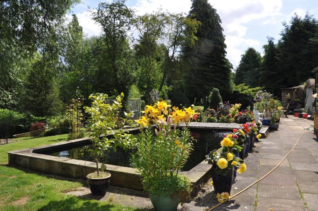 The Willows Bed & Breakfast York Exterior photo